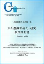 QI参加証明書_2013