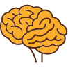 脳