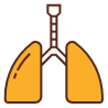 胸・肺