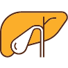 肝臓･胆嚢･膵臓