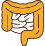 小腸・大腸