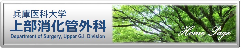 上部消化管外科HP.jpg